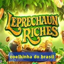 coelhinha do brasil