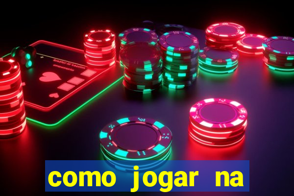 como jogar na lotinha do jogo do bicho