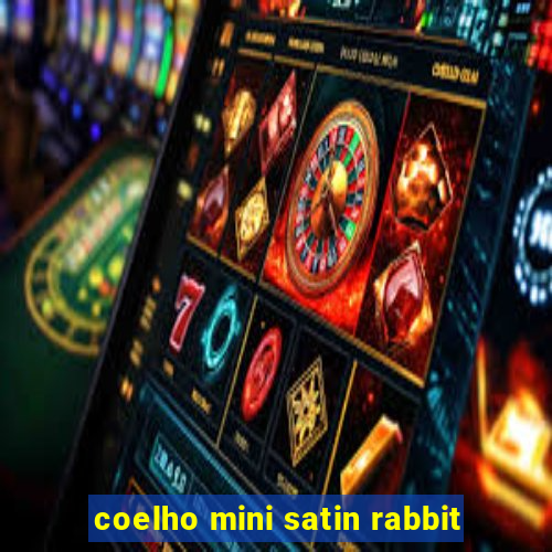 coelho mini satin rabbit