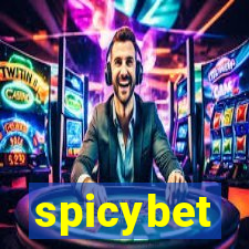 spicybet-4.com